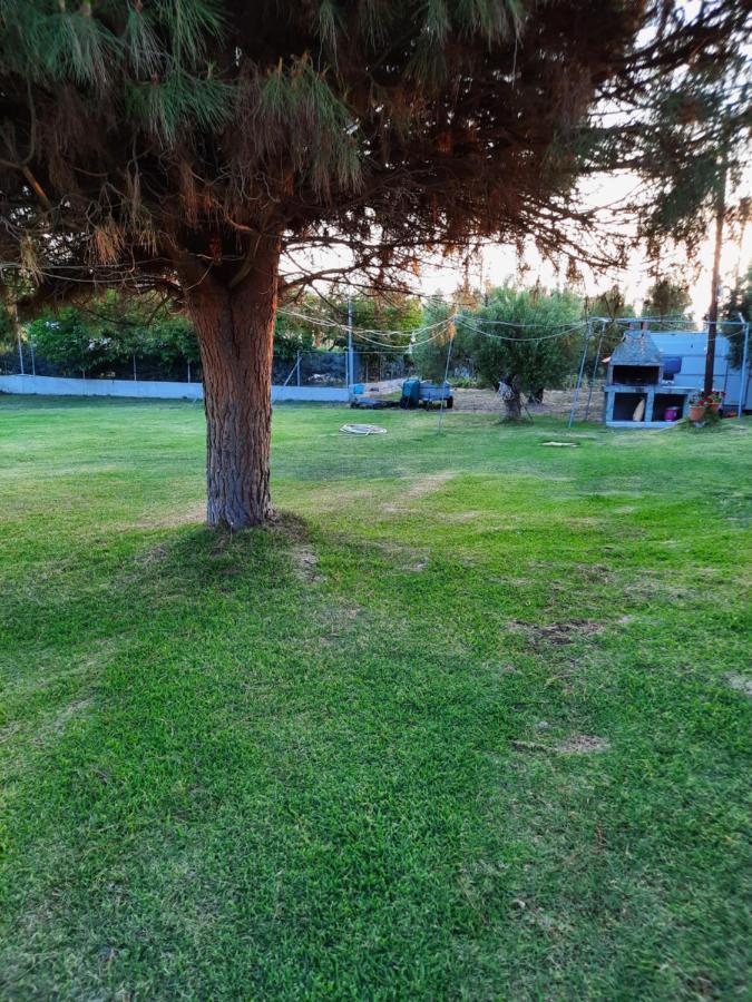 Bungalows Anestis Toroni Bagian luar foto