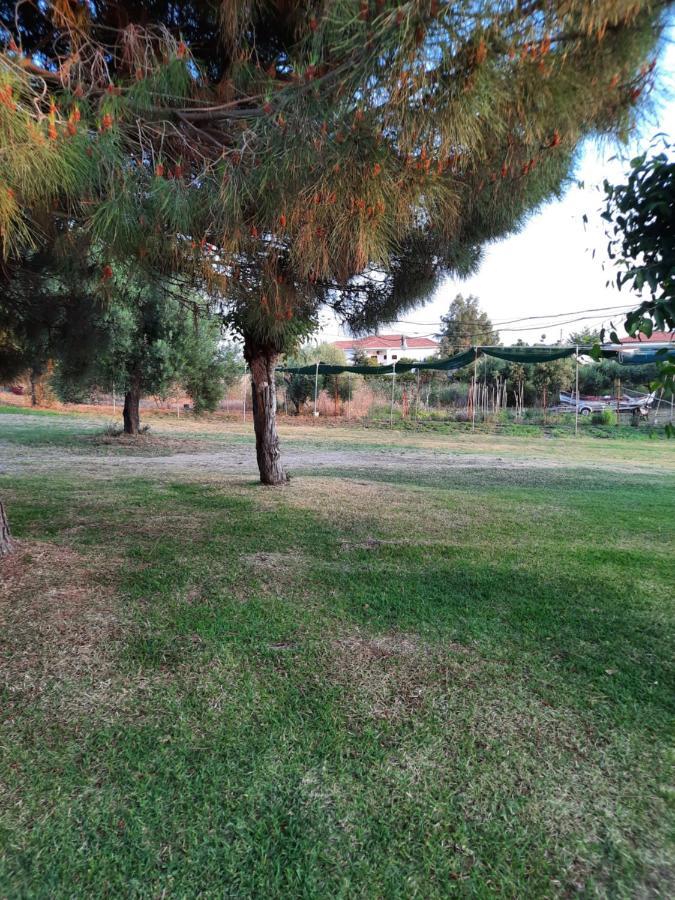 Bungalows Anestis Toroni Bagian luar foto